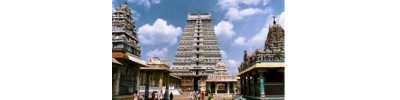236. திருவண்ணாமலை
